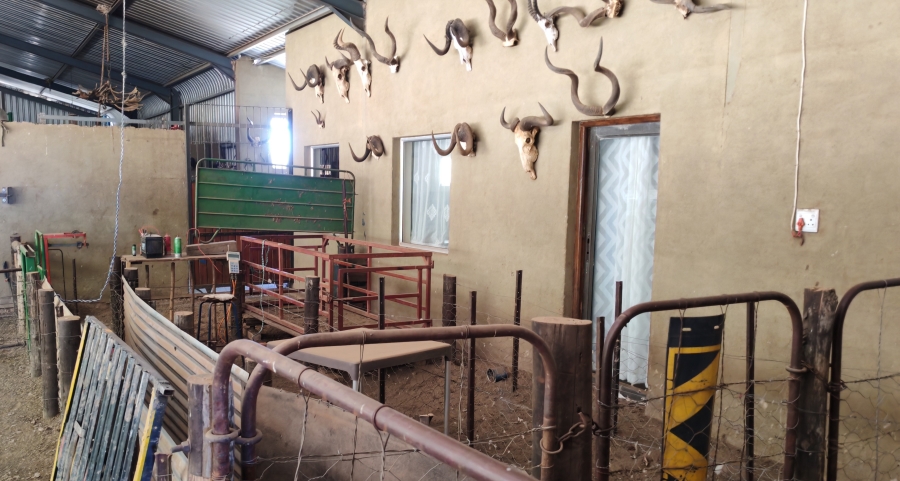 4 Bedroom Property for Sale in Middelburg Rural Eastern Cape